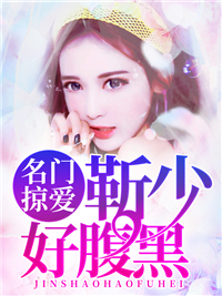 名门掠爱:靳少好腹黑