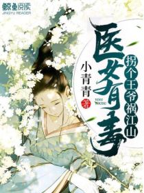 医女有毒:拐个王爷祸江山