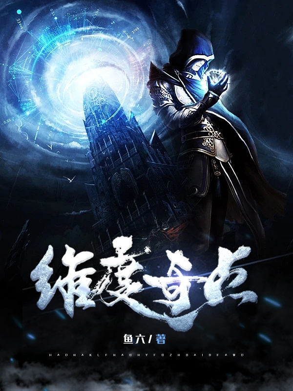 维度奇点