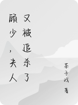 顾少,夫人又被追杀了