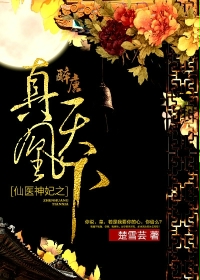 仙医神妃之真凰天下