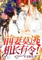 隐婚夫妻:霸道机长请离婚