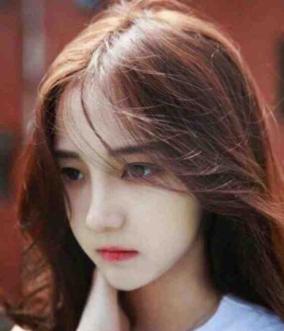 老婆能原谅我了吗