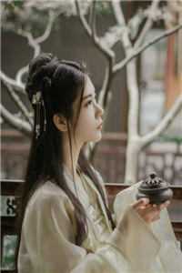 陆总,夫人要离婚