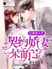 契约娇妻呆萌宝:总裁宠入骨