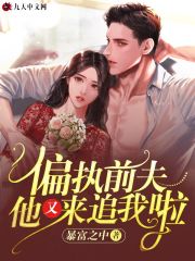 偏执前夫,他又来追我啦