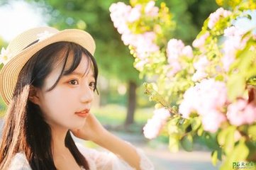 宠妻至上:惹上总裁要小心