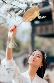 惊世医妃:邪王狂追妻