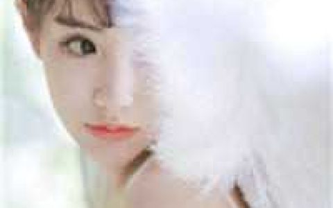 程亦风林薇夏《林薇夏程亦风小说》_林薇夏程亦风小说完整版免费阅读