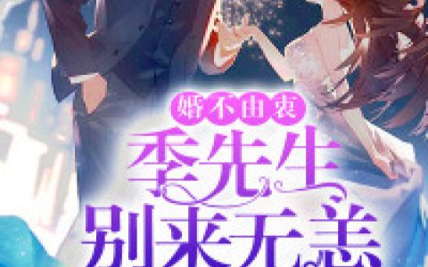宋若声季浔阳《婚不由衷：季先生别来无恙》_宋若声季浔阳全集免费在线阅读