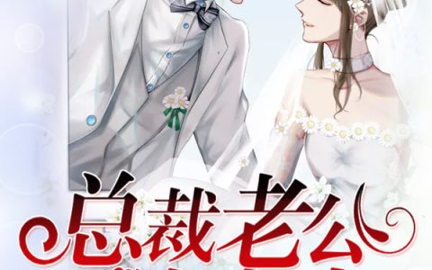 《妻不好追：总裁老公请止步》苏明远姜岚完整版在线阅读_《妻不好追：总裁老公请止步》完结版免费在线阅读