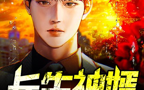 长生神婿(慕容海林曼羽)全集在线阅读_长生神婿全集在线阅读