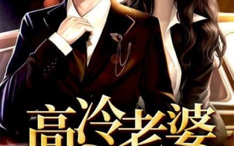 《高冷老婆爱上我》沈寻刘强_高冷老婆爱上我完整版免费在线阅读