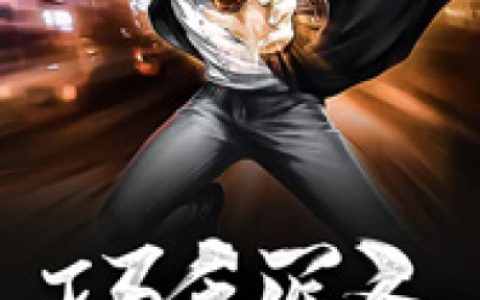 (巧手医圣)李维王海_李维王海全本阅读