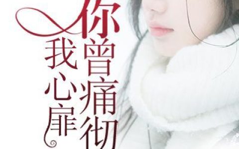 宋可陈浩深(你曾痛彻我心扉)_你曾痛彻我心扉全章节免费在线阅读