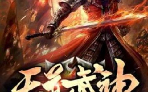 叶尘纳兰倾城(天道武神)_《天道武神》全集免费在线阅读