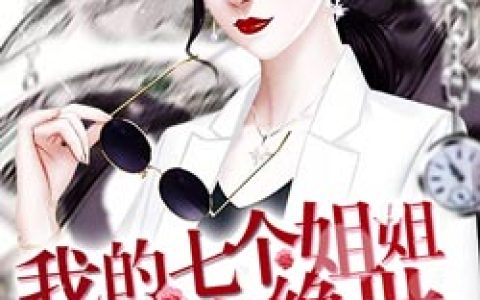 《我的七个姐姐风华绝世》叶辰沈晚舟全本在线阅读_叶辰沈晚舟完整版免费阅读
