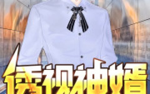 (透视神婿)宋晨林筱完整版阅读_透视神婿完整版阅读