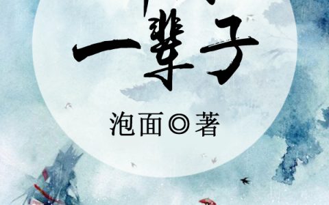 洪荣新洪珊珊(许你一辈子)_许你一辈子完结版在线阅读