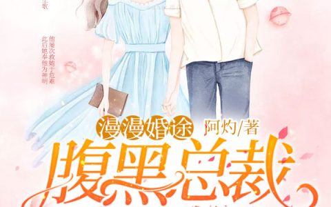 漫漫婚途：腹黑总裁套路深(夏媛秦云)全本阅读_《漫漫婚途：腹黑总裁套路深》完整版免费在线阅读