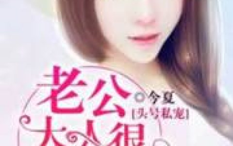 简安然陆离川《头号私宠：老公大人狠给力》_简安然陆离川全集免费在线阅读