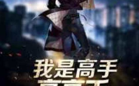 陈宇林宇《我是高手高高手》_(陈宇林宇)全本免费在线阅读