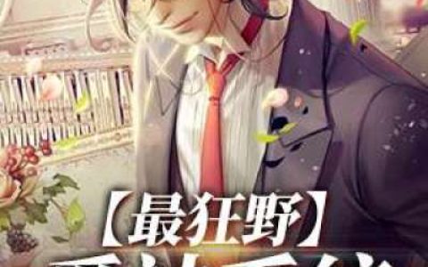 叶南苏婉婷《极品系统高手》_极品系统高手完整版在线阅读