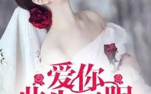 《爱你，此生不眠》陆湛北连正_爱你，此生不眠最新章节在线阅读
