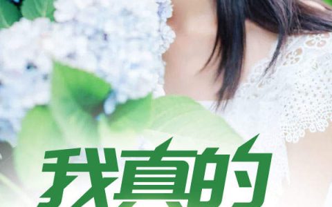 张辰林茹茹《我真的超有钱》最新章节免费阅读_《我真的超有钱》完结版在线阅读