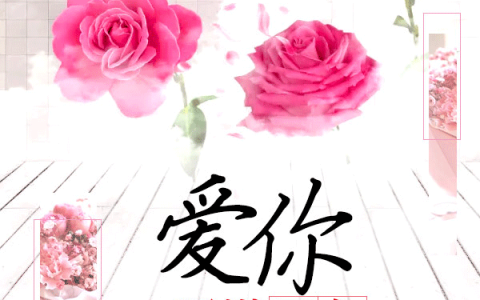 (陌南秧陆明翰)爱你预谋已久全章节免费在线阅读_爱你预谋已久全本免费在线阅读