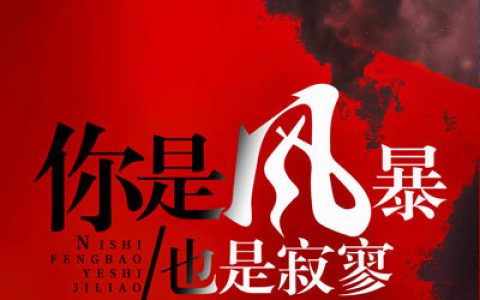 黎夏叶叔叔(你是风暴，也是寂寥)_你是风暴，也是寂寥全文免费阅读