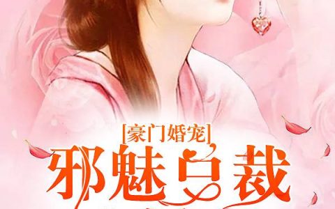 秦天晴商东瑾《婚内撩情：捕捉一只总裁君》全文阅读_秦天晴商东瑾全章节在线阅读
