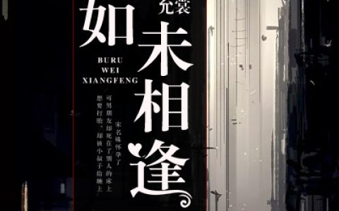 宋名姝周慕霆《不如未相逢》_宋名姝周慕霆全集免费在线阅读