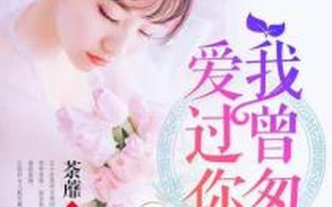 李英顾铎《我曾匆匆爱过你》全文在线阅读_李英顾铎全本阅读