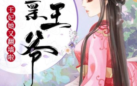 《启禀王爷：王妃她又翻墙啦！》陆婉王嬷嬷_启禀王爷：王妃她又翻墙啦！完整版免费在线阅读