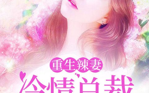 《重生辣妻：冷情总裁太生猛》冷沥轩沥川_重生辣妻：冷情总裁太生猛完结版免费阅读