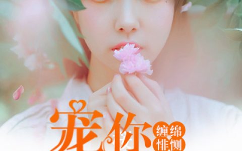 《缠绵悱恻：宠你到白首》林宠儿厉天意全本在线阅读_林宠儿厉天意完整版免费阅读