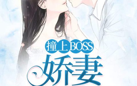 撞上BOSS：娇妻宠入骨(陈橙陆深泽)_(撞上BOSS：娇妻宠入骨)全集免费在线阅读