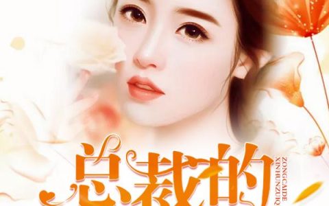 陆怜儿陆小枫《总裁的新婚罪妻》最新章节免费阅读_《总裁的新婚罪妻》全章节在线阅读