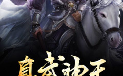 林玄林义德《真武神王》全文阅读_林玄林义德全章节在线阅读