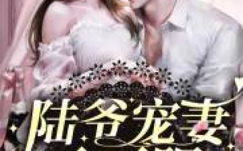 叶知晗周红梅《陆爷宠妻无下限》完整版阅读_叶知晗周红梅全文阅读