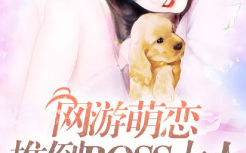 (网游萌恋：推倒BOSS大人)洛大肖兰_洛大肖兰全本阅读