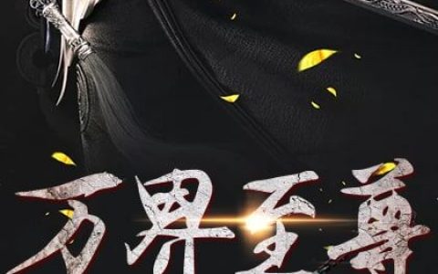 (万界至尊)林云周平完整版阅读_万界至尊完整版阅读