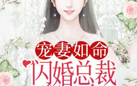 宠妻如命：闪婚总裁狠给力(程欧苏微暖)_程欧苏微暖完结版在线阅读