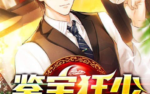 《鉴宝狂少》周海峰张浩全本在线阅读_周海峰张浩完整版免费阅读