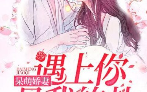 呆萌娇妻：遇上你是我的劫(宋婉婉沐枫)完结版在线阅读_(宋婉婉沐枫)完结版免费阅读