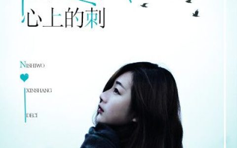 你是我心上的刺(宋知歌沈华笙)_《你是我心上的刺》全章节阅读