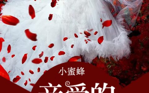 亲爱的，这不是爱情(宁致远洛晚颜)全文阅读_(亲爱的，这不是爱情)全章节在线阅读