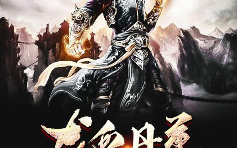 叶辰叶扬(龙血丹尊)_龙血丹尊全章节免费在线阅读