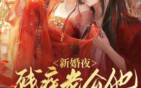 新婚夜，残疾老公他突然站起来了(白彦川苏锦凰)全章节在线阅读_(白彦川苏锦凰)完整版免费阅读
